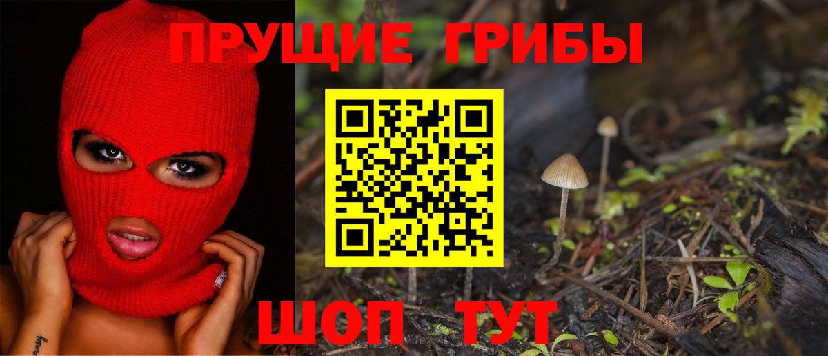 Галлюциногенные грибы GOLDEN TEACHER  Вход с VPN  Саранск  Галлюциногенные грибы Magic Shrooms 